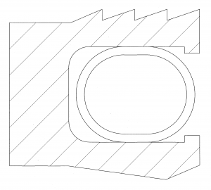 SCSES-TYPE D